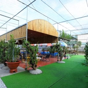 Cafe Vườn Lan Út Toàn 3