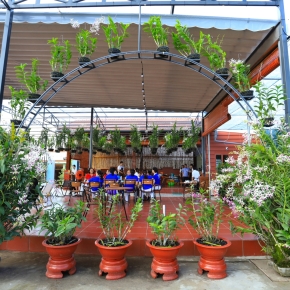 CAFE VƯỜN LAN - ÚT TOÀN